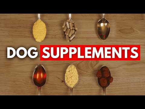 The ONLY 6 Supplements Your Dog Actually Needs