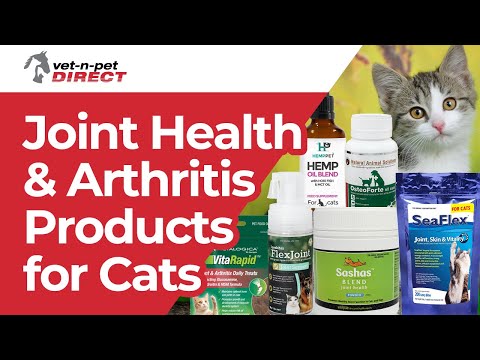Joint Health and Arthritis Products for Cats